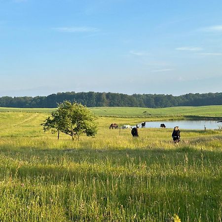 Projekt Stajnia - Nadmorski Osrodek Jazdy Konnej - Noclegi Łazy Exteriör bild